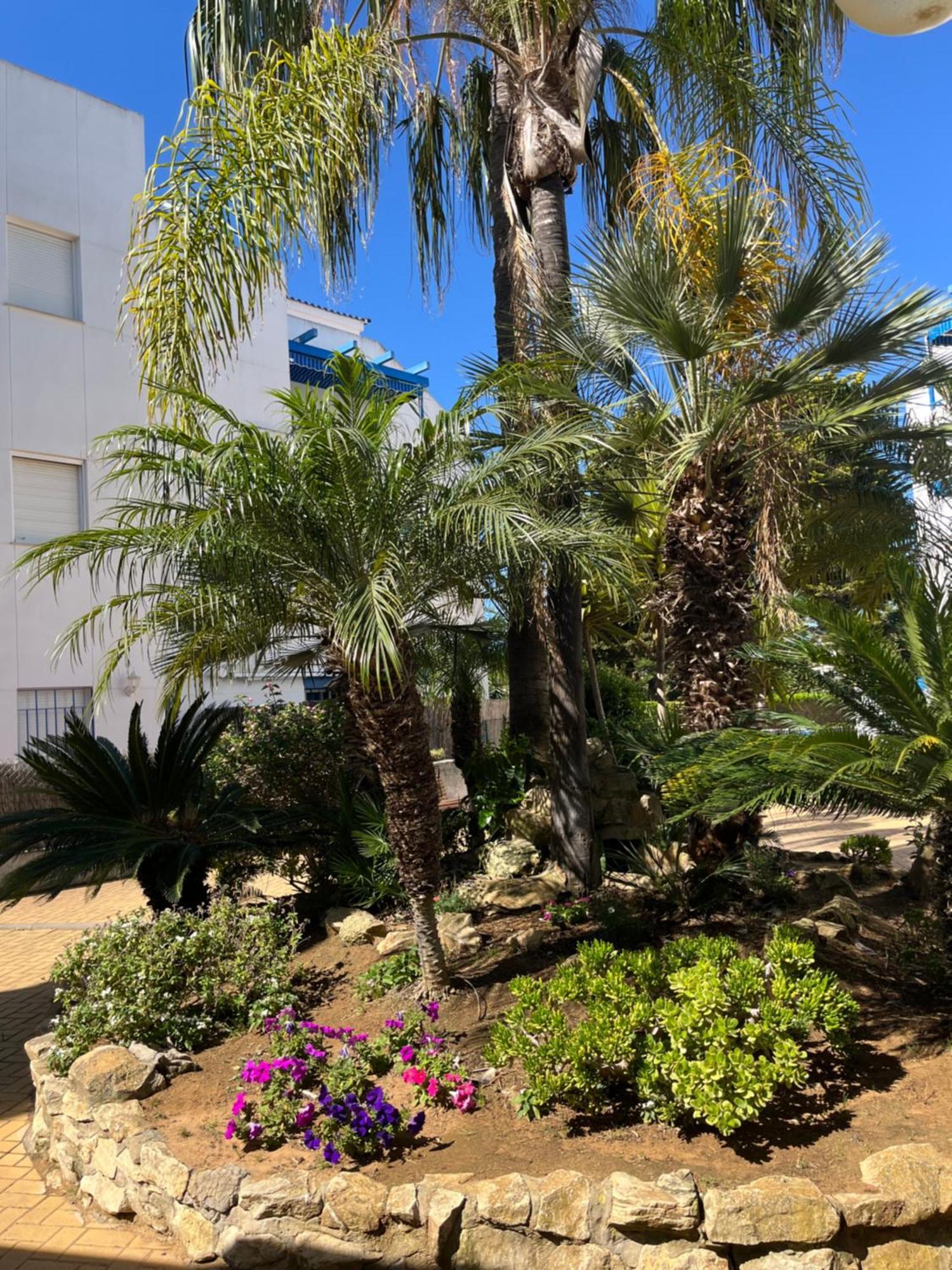 קדיז Apartamento En Costa Ballena, Urb. Playa Ballena מראה חיצוני תמונה